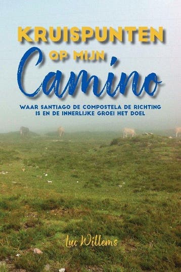 Kruispunten op mijn Camino - Luc Willems 9789464317800, Boeken, Reisverhalen, Verzenden, Gelezen, Luc Willems