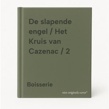De slapende engel / Het Kruis van Cazenac / 2 - Boisserie, Verzenden, Gelezen, Boisserie