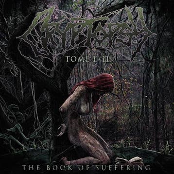 lp nieuw - cryptopsy - THE BOOK OF SUFFERING - TOME I + I..., Verzenden, Zo goed als nieuw, Overige formaten