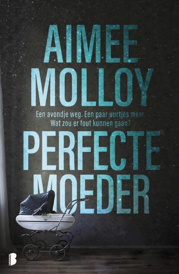 Perfecte moeder - Aimee Molloy 9789022582404, Boeken, Verzenden, Gelezen, Aimee Molloy