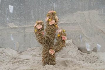 Oasis® black bioline cactus grote zwarte 38 x 74 11 cm, Ophalen of Verzenden, Nieuw