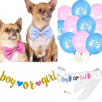 Genderreveal kraskaarten spel Girl or Boy met 18 kaarten, Verzenden, Nieuw, Feestartikel, Geboorte of Huwelijk