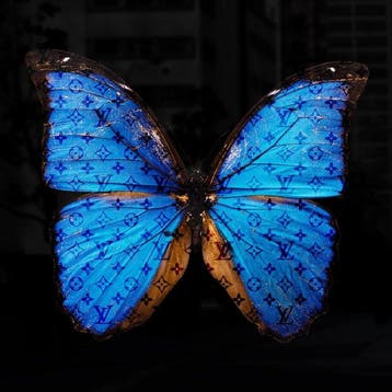 Daluxe Art (1999-) - Louis Vuitton Butterfly, Antiek en Kunst