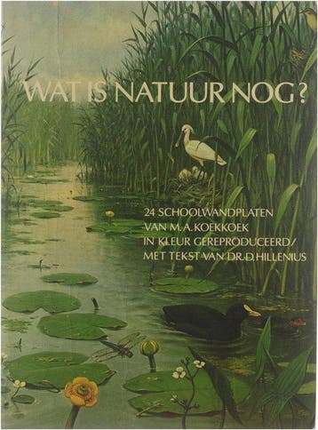 Wat is natuur nog - Hillenius 9789021826639, Boeken, Verzenden, Gelezen, Hillenius