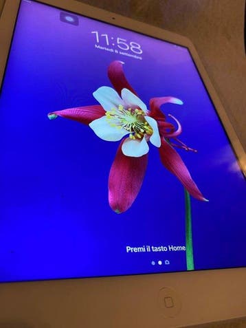 Apple iPad (4th generation) - Computer, Nieuw