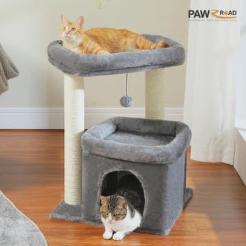Kattenboom met Condo, Dubbele Perch en Krabpalen - Perfect v, Verzenden, Nieuw