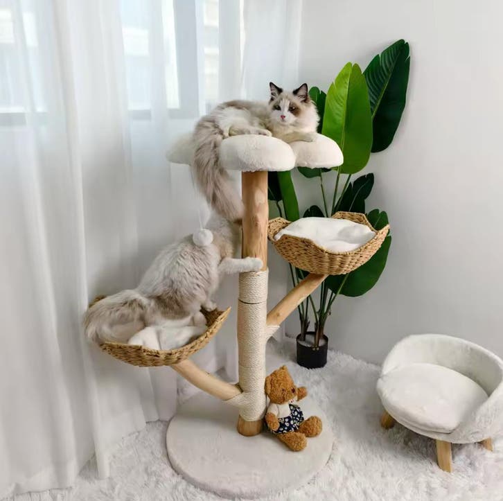 Kattenboom van Natuurlijk Hout - Krabmeubel Wasbare Kussens, Dieren en Toebehoren, Krabmeubelen, Krabpaal, Nieuw, Verzenden