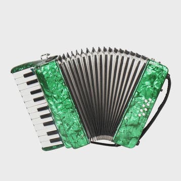 IRIN AR-80 Accordeon - 22 Toetsen, 8 Bassen - Professioneel, Muziek en Instrumenten, Accordeons, Verzenden, Nieuw