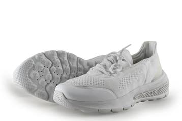 Geox Sneakers in maat 37 Wit, Geox, Verzenden, Wit, Sneakers of Gympen