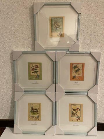 Tintin - 5 Tirages - Moulinsart, Nieuw