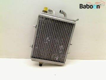 Radiateur Aprilia Leonardo 300 2002-2006, Verzenden, Gebruikt