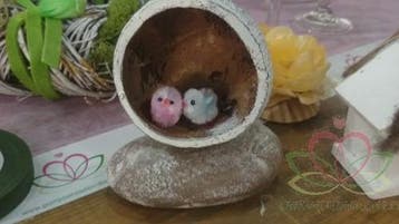 Coconut Top-cut Kokosnoot Wit 5 stuks 480 gram, Ophalen of Verzenden, Nieuw