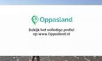 Brechje zoekt een oppas in Groningen voor 2 kinderen voor...