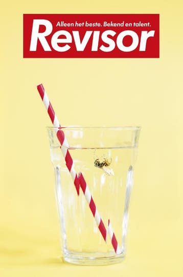 Revisor / 12 - Revisor 9789023442578, Verzenden, Gelezen, Revisor