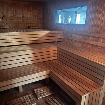 Op gas gestookte Finse sauna, 2020, Nieuw