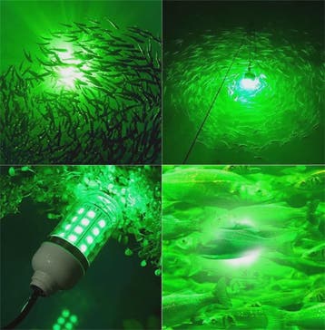 Waterdichte LED Visserslamp Onderwater - 12V AC/DC - Trekt V, Verzenden, Nieuw