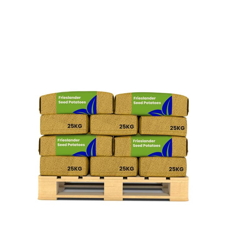 Pootaardappelen Frieslander A 28/35 (20x = 500kg), Tuin en Terras, Bloembollen en Zaden, Gehele jaar, Volle zon, Verzenden