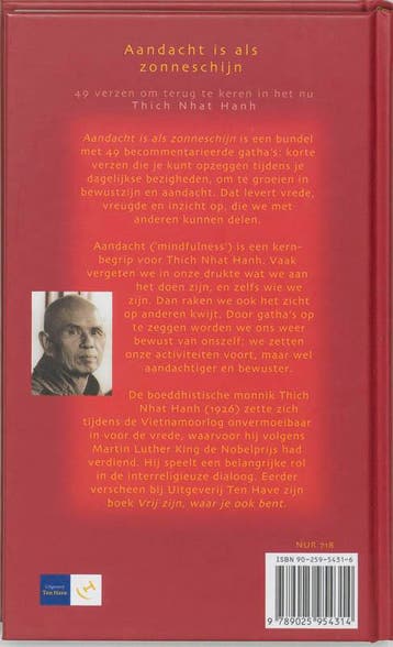 Aandacht is als zonneschijn 9789025954314 Thích Nhât Hanh, Boeken, Verzenden, Zo goed als nieuw, Thích Nhât Hanh