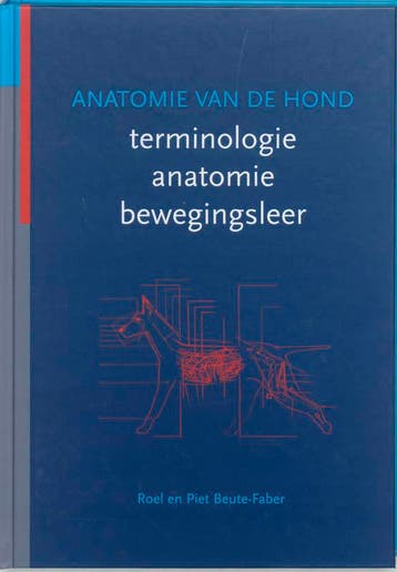 Anatomie van de hond - R. Beute-Faber 9789077462027, Verzenden, Zo goed als nieuw, R. Beute-Faber