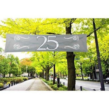Spandoek zilver 25 jaar, Ophalen of Verzenden, Nieuw