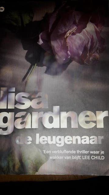 De leugenaar / D.D. Warren / 2 - Lisa Gardner 9789044336603, Verzenden, Gelezen, Lisa Gardner