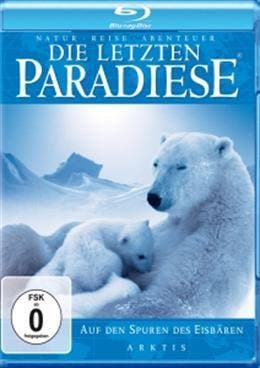 - Special Interest – Arktis - Auf den Spuren des Eisbären, Cd's en Dvd's, Dvd's | Overige Dvd's, Ophalen of Verzenden