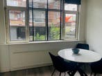 Te huur: Appartement Van Ostadelaan in Schiedam, Zuid-Holland, Appartement, Schiedam