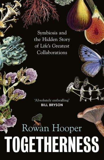 9781911717157 Togetherness Rowan Hooper, Verzenden, Nieuw, Rowan Hooper