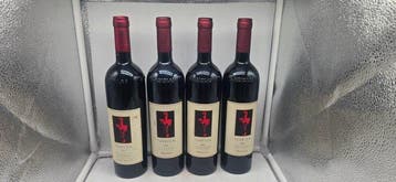 2005 Argiolas Turriga - Sardinië Isola dei Nuraghi - 4, Nieuw