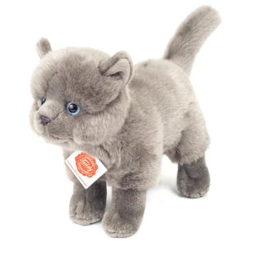 Kartuizer kat knuffel - pluche - grijs - 20 cm - Hermann, Verzenden, Nieuw