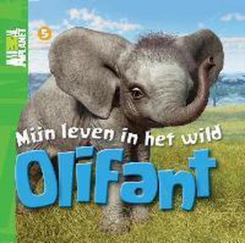 Mijn leven in het wild / 05 Olifant / Animal Planet boeken, Boeken, Verzenden, Gelezen, Meredith Costain