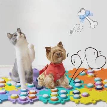 Interactieve Communicatieknoppen voor Honden & Katten - Leer, Verzenden, Nieuw