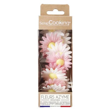 ScrapCooking Ouwel Decoratie Bloemen Madelief 18st., Verzenden, Nieuw