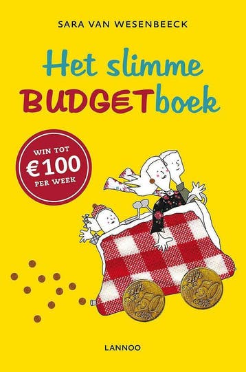 Het slimme budgetboek 9789401405461 Sara van Wesenbeeck, Verzenden, Gelezen, Sara van Wesenbeeck
