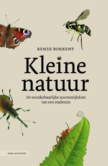 Kleine natuur - Renze Borkent 9789050119375, Verzenden, Gelezen, Renze Borkent