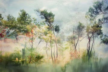 Viet Ha Tran - Abstract Landscape XII