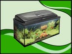 AQUA4 FAMILY 80 recht aquarium set compleet (Aquarium sets), Dieren en Toebehoren, Verzenden, Nieuw