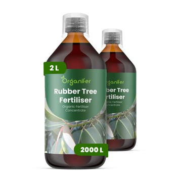 Rubberplant Vloeibare meststof - Set 2x1 liter, Verzenden, Mest