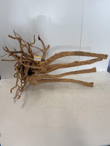 Boutique Stump Selected BS276 - 85x40x53cm (Natuurlijk hout), Ophalen of Verzenden, Nieuw, Plant(en), Steen of Hout