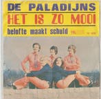 vinyl single 7 inch - De Paladijns - Het Is Zo Mooi, Verzenden, Zo goed als nieuw