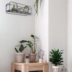 Wandplank - Wandrek - Livion Yoelle - Inclusief Hanger -, Ophalen of Verzenden, Nieuw