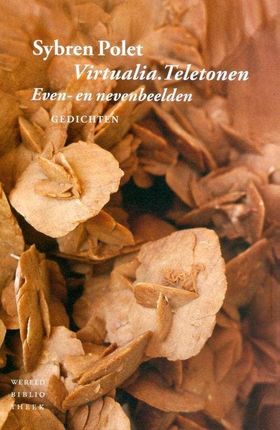 Virtualia. Teletonen, Boeken, Literatuur, Ophalen of Verzenden