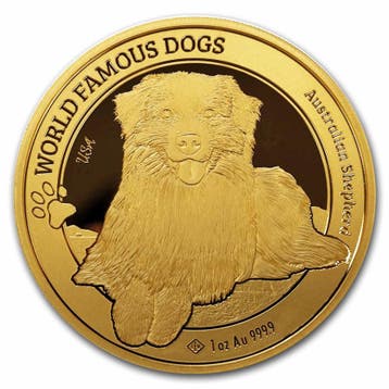 Gouden Kameroen - World Famous Dogs - Australian Shepherd 1, Verzenden, Losse munt, Goud