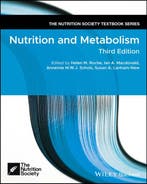9781119840237 The Nutrition Society Textbook- Nutrition a..., Boeken, Verzenden, Zo goed als nieuw, Roche