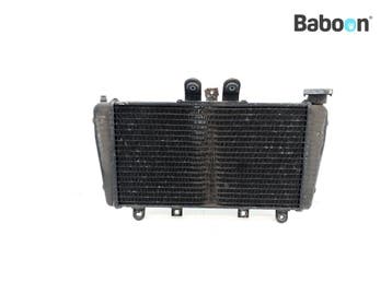 Radiateur Triumph Speed Triple 1050 2008-2010 (VIN, Verzenden, Gebruikt