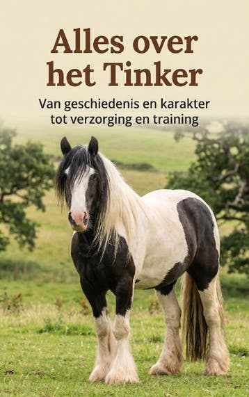 Alles Over Het Tinker | Andries B.V. | Nieuw, Ophalen of Verzenden, Nieuw, Andries B.V.
