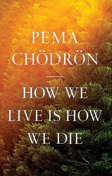 9781645472407 How We Live Is How We Die Pema Chodron, Verzenden, Nieuw, Pema Chodron