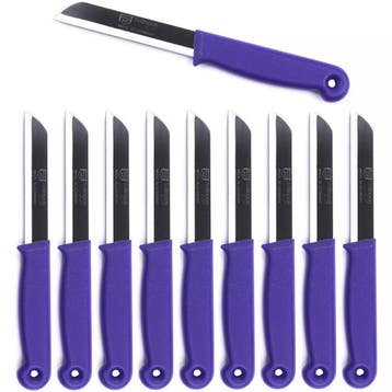Solingen Schilmesje – RVS Glad – 18,5 cm met Blade Cover, Ophalen of Verzenden, Nieuw, Rvs of Chroom