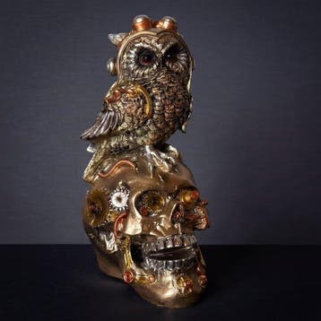 Beeld, Schedel met uil “Steampunk” - 17 cm - Hars