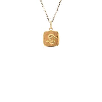 Gouden sterrenbeeld hanger vissen 14 karaat, Verzenden, Zo goed als nieuw, Goud
